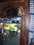 Kod Šipe-Kamenički vis (At Šipa's-Kamenički vis Resort)